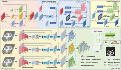 PAC-Net: Multi-pathway FPN with position attention guided connections and vertex distance IoU for 3D medical image detection
